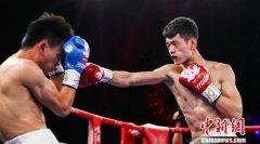 2018IBF中国职业拳击联赛开赛 中国拳手击败印尼老