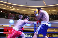 WBC大中华区首条男子和女子冠军金腰带在昆明诞