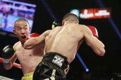 杨连慧被第六回合TKO告负 冲击世界拳王暂时搁浅