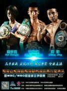 WBC/WBO职业拳王争霸赛5月8日开战
