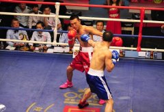 IBF中国职业拳击联赛西安赛区战报