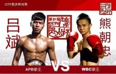 “贺岁杯”拳击赛出新亮点 规模翻倍 优秀拳手大