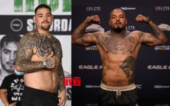 安迪·鲁伊兹7月对阵泰隆·斯鹏