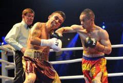 IBF签约国内拳击俱乐部 熊朝忠成其中一员