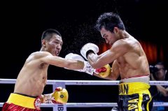 孙想想成IBF亚洲初代拳王 杰恩斯赢拳积分面临大