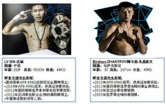 APB世界职业拳王争霸赛巅峰之战王者对决