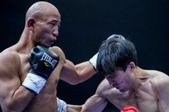 WBC亚洲拳王刘中负伤战胜刘元海，“功夫小光头