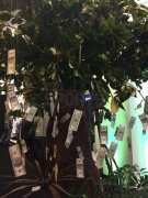 人生赢家！拳王梅威瑟生日派对各路明星大牌云