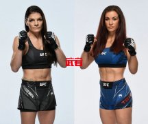 前UFC冠军米莎·塔特对阵劳伦·墨菲转移到5月15日