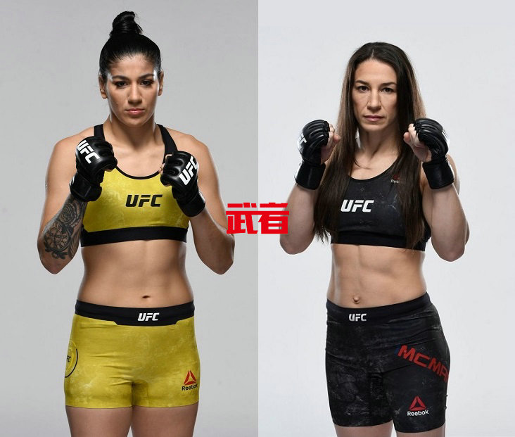 UFC-Vieira-McMann.jpg