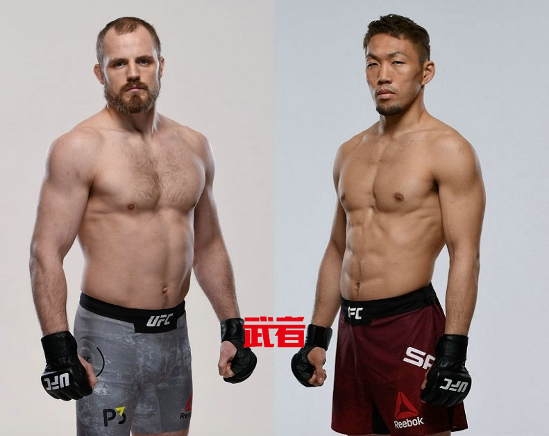 UFC-Nelson-Sato.jpg