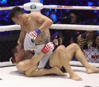 黑龙江本土赛事WKG&M-1综合格斗赛走向全国