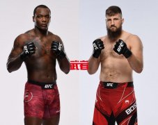 UFC格斗之夜190：欧文斯·圣·普吕vs坦纳·博瑟