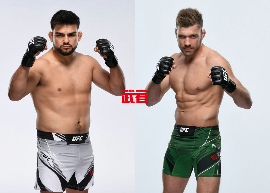 UFC-Gastelum-Plessis.jpg