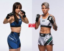 7月16日UFC：米歇尔·沃特森vs阿曼达·莱莫斯