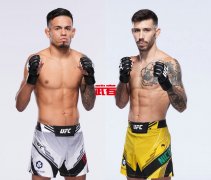 4月16日UFC：布兰登·罗伊瓦尔vs马修斯·尼科劳
