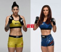 11月21日UFC：凯伦·维埃拉vs沙·塔特