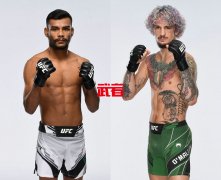 UFC 269：劳利安·派瓦vs肖恩·奥麦利