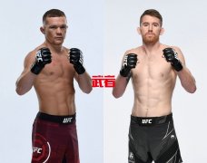 UFC 267：彼得·严vs科里·桑德哈根临时冠军战