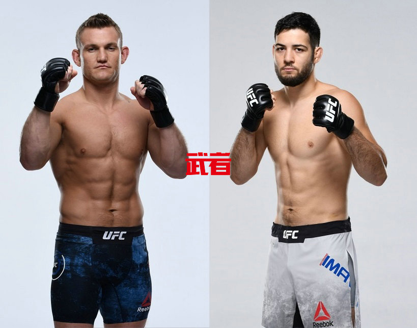 UFC-Heinisch-Imavov.jpg