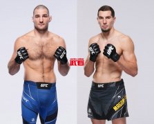7月2日UFC：肖恩·斯特里克兰德vs阿布斯·马戈梅多