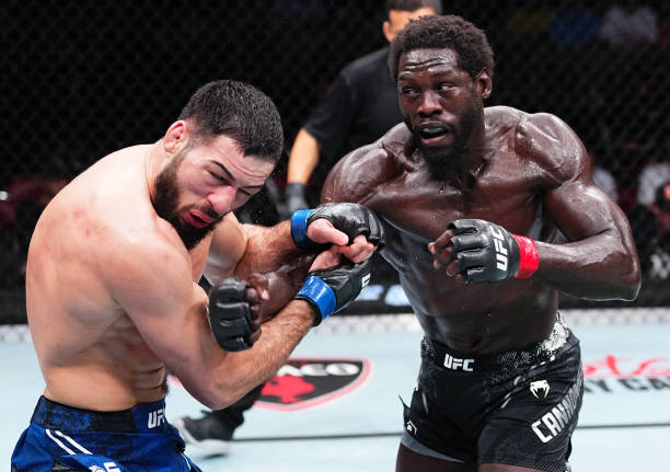 伊马沃夫第四回合TKO坎农尼尔