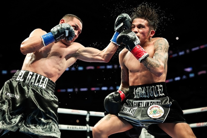 罗德里格兹成功晋升P4P排名第五位