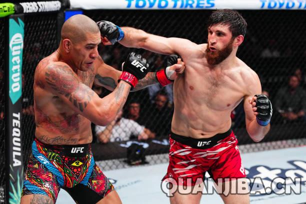 安卡拉耶夫在(散打）对决中击败佩雷拉夺得UFC轻重量级冠军称号