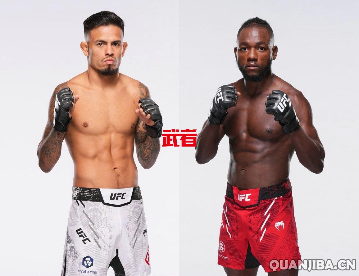 混合搏击巅峰对决：布兰登·罗伊瓦尔在