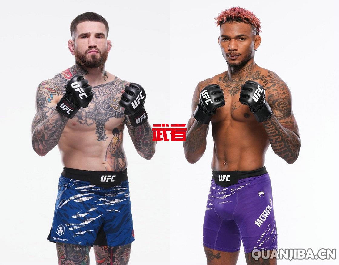 UFC 322:肖恩·布雷迪挑战迈克尔·莫拉莱斯,将擦出散打的火花